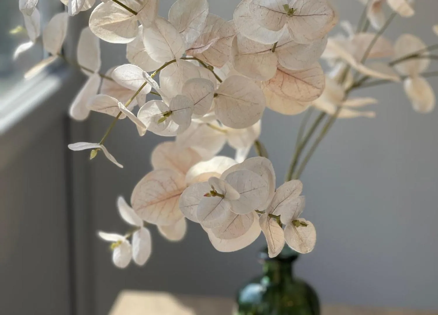 Large City House In Most Desirable Location - Walk To River ケンブリッジ 別荘